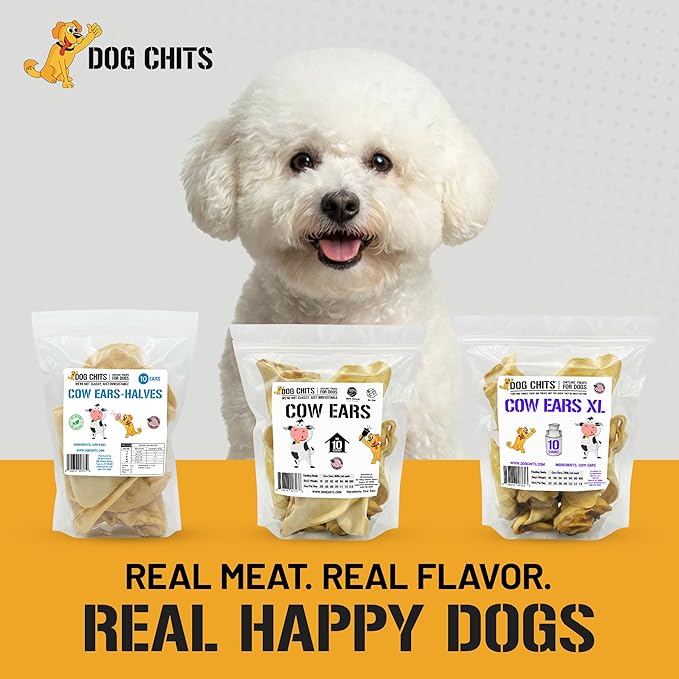 Dog Chits Cow Ears for Dogs – All Natural Cow Ear Dog Treats & Training Chews – High Protein, Low Fat – Thick Cut, Full-Sized – Dental Clean Crunch – Ideal for Medium & Large Dogs – Large, 10 Pk