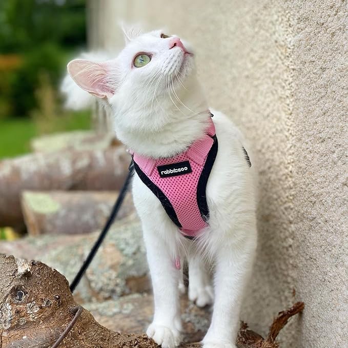 rabbitgoo Cat Harness and Leash for Walking, Escape Proof Soft Adjustable Vest Harnesses for Cats, Easy Control Breathable Reflective Strips Jacket, Pink, S