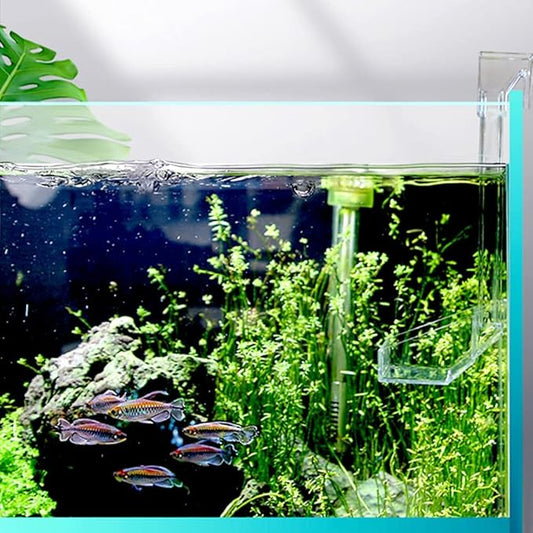 Shrimp Fish Feeding Dish - Sky Restaurant - Betta & Aquarium Feeder - Prevents Spills, Easy Clean Up, Suitable for African Cichlids & Dwarf Frogs