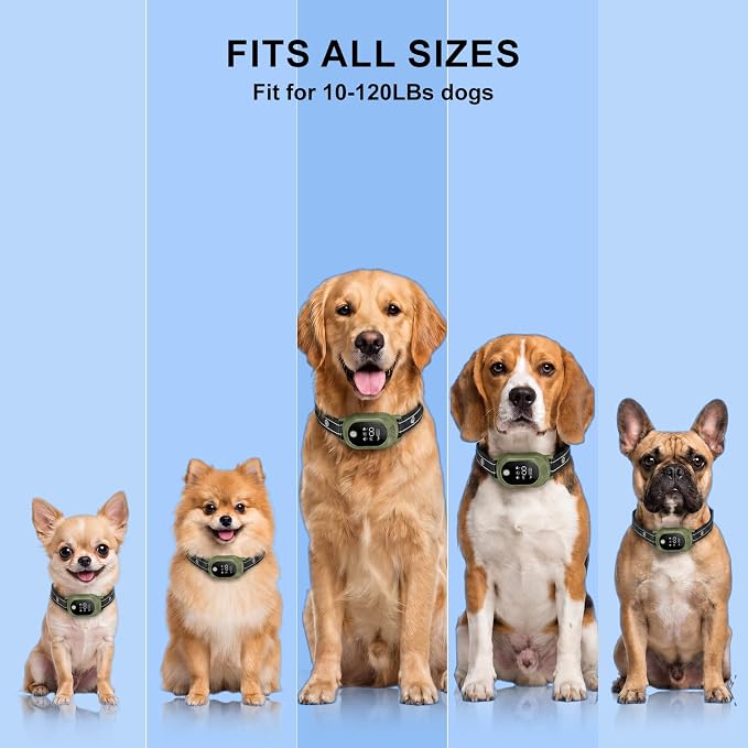 Shock Collar for Dogs & Dog Bark Collar - with 2600FT Range, 100 Levels Sensitivity, IP67 Waterproof for Small, Medium, Large Dogs (Green)