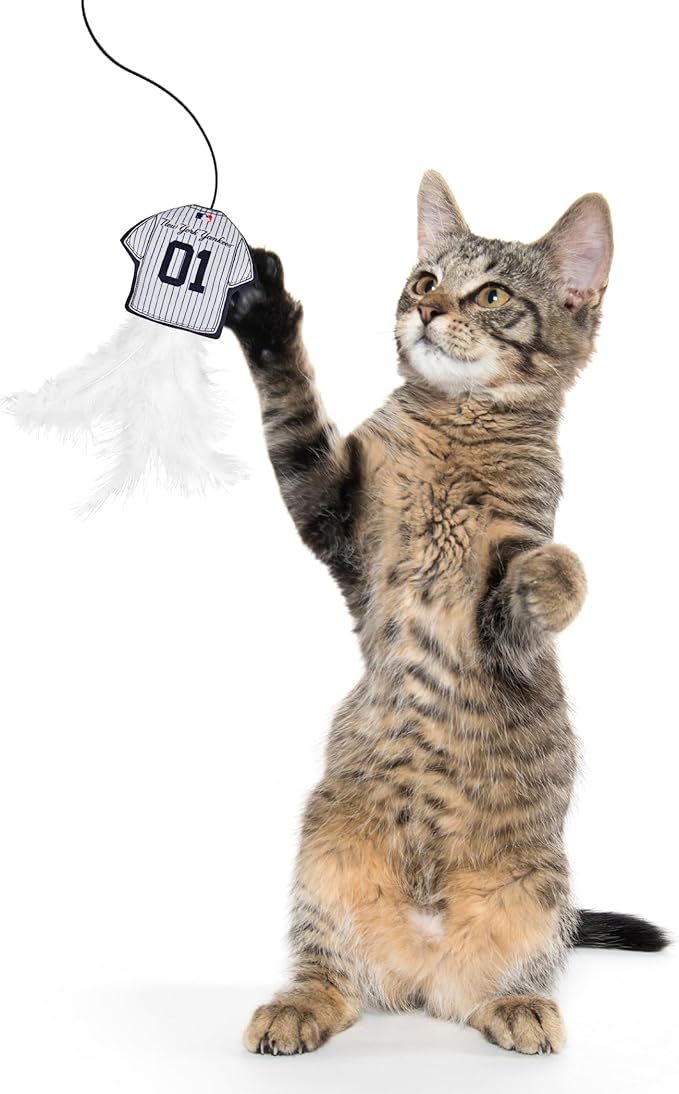 MLB New York Yankees Team Jersey Wand with CAT NIP, Cat Toy Jersey Shaped Plush Teaser Toy for Cats & Kittens - Interactive Pet Toy for Play & Exercise