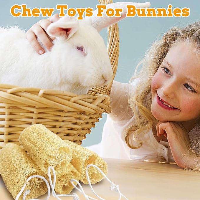 12 Pcs Rabbit Chew Toys Natural Bunny Loofah Chew Toy Chinchilla Teeth Grinding Toys Guinea Pig Fibre-Rich Treats Enrichment Bunny Accessories for Rabbits Hamster (S)