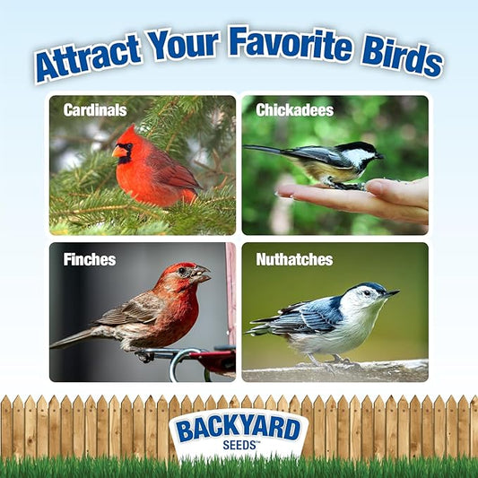 Backyard Seeds Berries 'n Nut Blend Bird Seed Mix 20lbs - Premium Seeds, Nuts & Cranberries, Medium Bag of Wild Bird Food