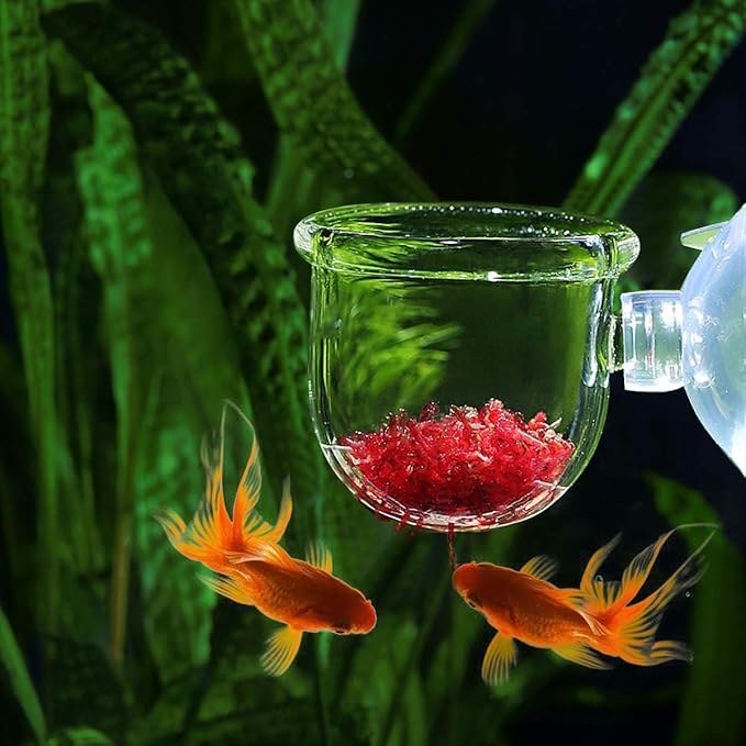 WEAVERBIRD Aquarium Glass Cone Feeder Red Worm Fish Tank Plant Shrimp Feeder Fish Feeding Cup