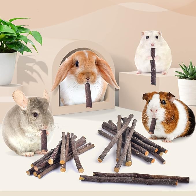 Bissap Apple Sticks for Rabbits, Natural Bunny Chew Toys and Treats for Chinchilla Guinea Pig Hamster Gerbil Small Animals Pet Apple Wood Stick Toys Teeth Grinding (120g/4.2oz)
