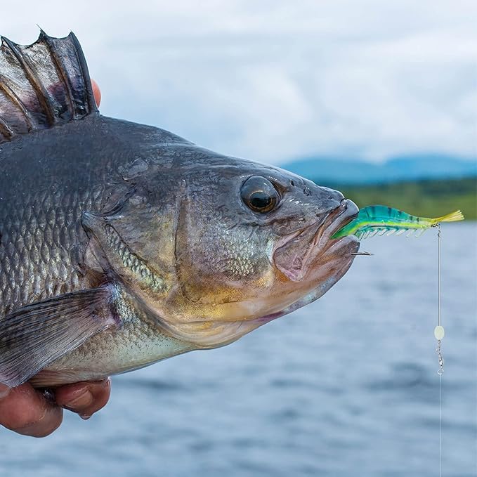10PCS Saltwater Fishing Lures Shrimp Baits Set, Premium Soft Shrimp Fishing Tackle with Luminous Sharp Hooks, for Freshwater and Saltwater - Syosisny