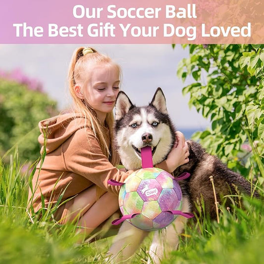 QDAN Extra Large Dog Toys Soccer Ball for Extra Large Dogs - Durable Dog Ball for Beach Pool Water Toy, Interactive Tug of War, Puppy Birthday Gifts, Rainbow (9 Inch)