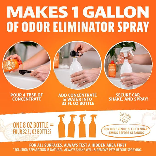 ANGRY ORANGE Pet Stain and Odor Remover - 2 Spray Pack - 32 oz Dog, Ferret, Rabbit & Cat Urine Enzyme Cleaner - 8 oz Strong Pet Odor Eliminator Concentrate - For Pee on Carpet, Furniture, Tile, Wood