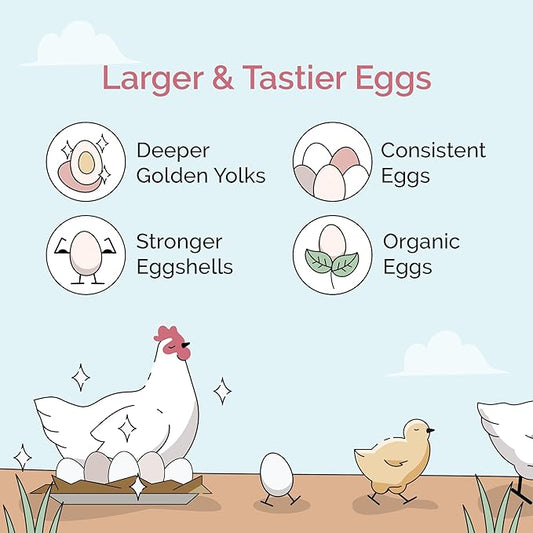 Mile Four Chick Grit (50 lbs) for Baby Chicks Chickens Age 0-8 Weeks, 100% Natural Mineral Chick Grit Quartzite, Poultry Grit Digestive Aid, USA Mined