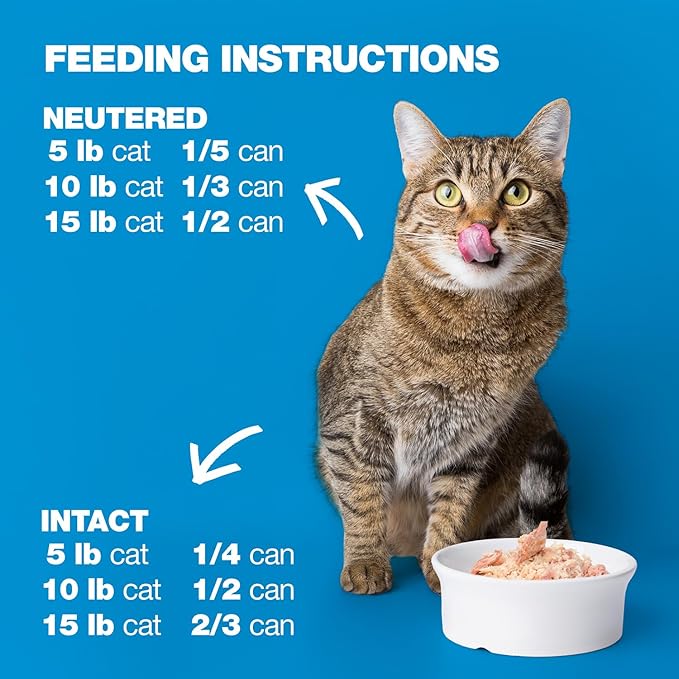 Natural Code - 24 Pack Wet Cat Food, Limited Ingredient Cat Food, High-Protein, Non-GMO, No Artificial Additives, Made in Italy, Tuna & Turkey in Aspic for Adult Cats, 3 oz