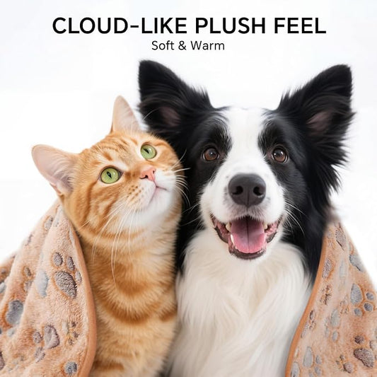 1 Pack 6 Blankets Dog Cat Soft Fluffy Fleece Pet Blanket Warm Cute Print Design Puppy Kitten Blanket Doggy PAW-2 Small (23" x16")