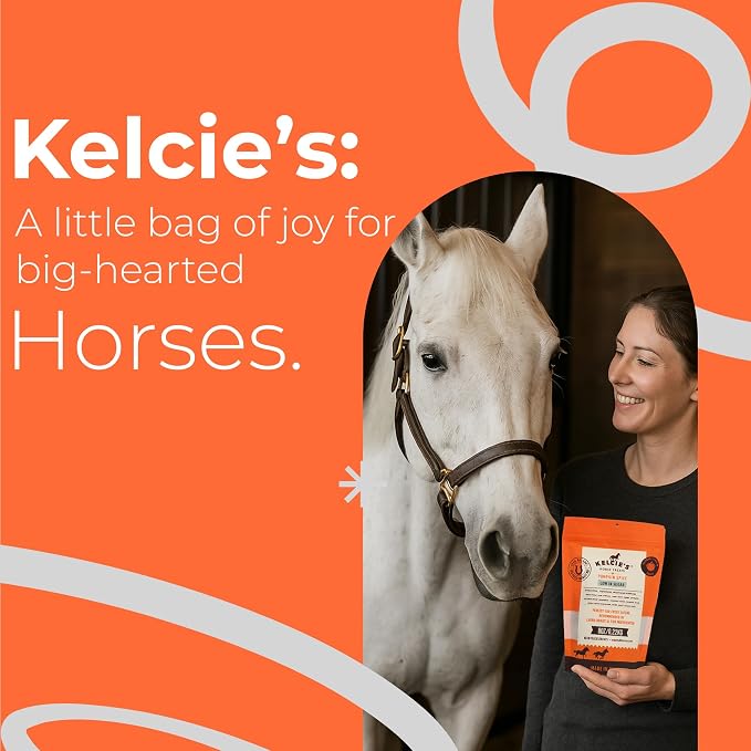 Kelcies Pumpkin Spice Horses Treats - Low Sugar, Starch, and Carbohydrates | Healthy Treats for Horse Supports Superior Digestion 8 Ounce (1 Pack)