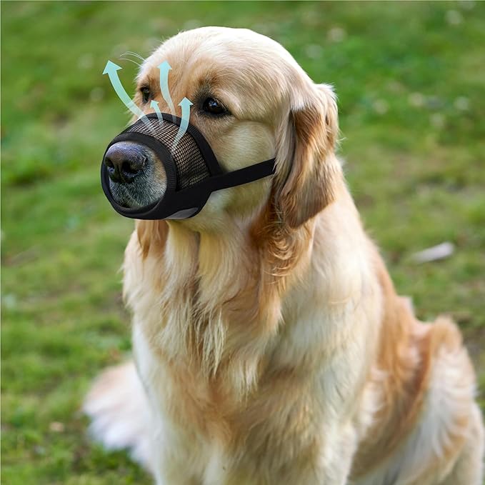 Evollax Dog Muzzle for Large Dogs โ Breathable Air Mesh Muzzle for Large Sized Dog | Adjustable Mussels for Dogs Grooming | Muzzles to Prevent Biting Barking Chewing | Allows Panting and Drinking