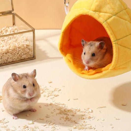 Nogeqi 2 Pcs Hamster Bed, Soft Rat Guinea Pig Hammock, Hanging House Rat Cage Accessories for Guinea Pig Rat Sleep and Play(Banana and Pineapple)