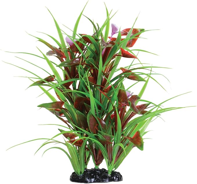 Underwater Treasures Flowering Arrowhead - 12"