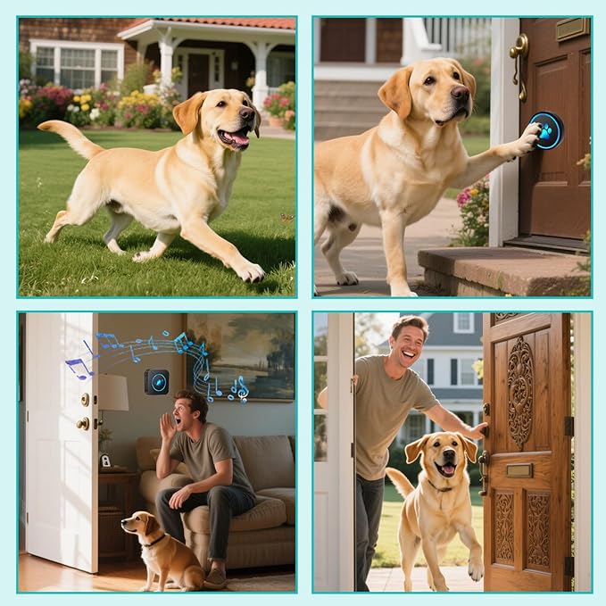 Dog Door Bell for Potty Training, Smart Wireless Doggie Doorbell to Go Outside, 1000 Feet Long Range with IP65 Waterproof Super-Light Touch Button, 60 Melodies & Adjustable Volume (2 Button)