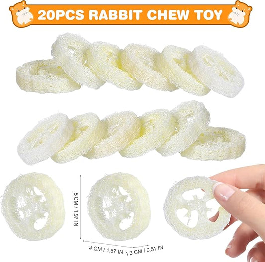 Toddmomy Rabbit Chew Toys 20pcs Loofah Teeth Grinding Toys Small Animal Tooth Cleaning Tools for Guinea Pig Chinchilla Hamster