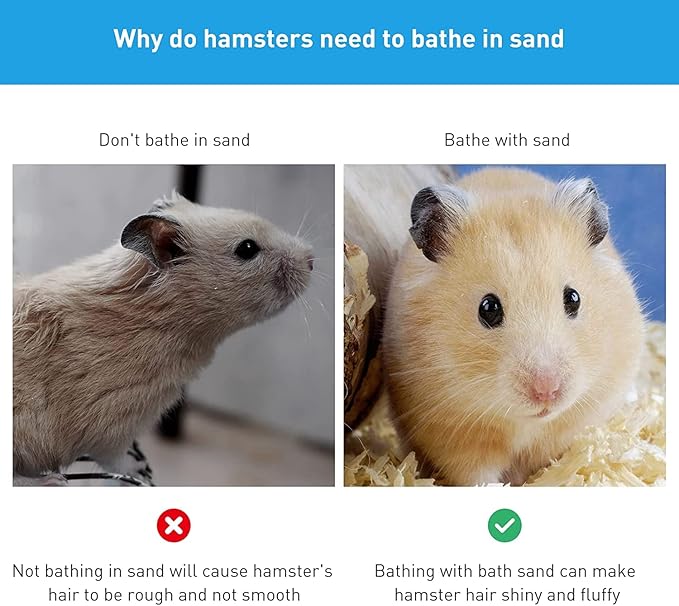 Hamster Small Animal Sand Bath Box Bathtub Critter's Bathroom with Bath Sand and Scoop Accessories for Mice Hedgehog Lemming Gerbils or Other Small Pets (Medium)