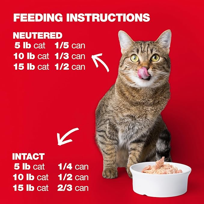 Natural Code - 24 Pack Wet Cat Food, Limited Ingredient Cat Food, High-Protein, Non-GMO, No Artificial Additives, Made in Italy, Chicken & Turkey in Aspic for Adult Cats, 3 oz