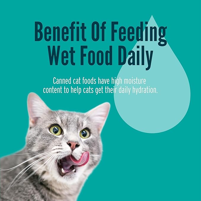 A Strong Heart Canned Wet Cat Food, Shredded Chicken Dinner in Gravy - 5.5 oz Cans (Pack of 24), Made in The USA with Real Chicken