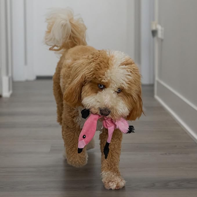 SPOT Skinneeez Flamingo 13 Inch Stuffing-Free Plush Squeaky Dog Toy – Soft Interactive Chew Toy for Small and Medium Dogs – Mess-Free Play for Light & Moderate Chewers