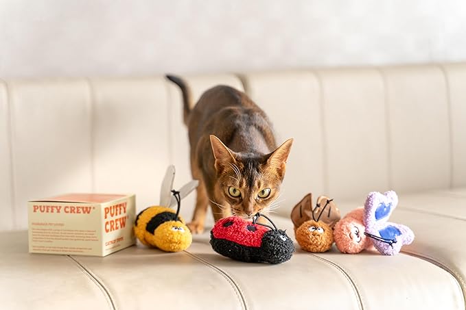 Interactive Catnip Cat Plush Toy, Insect Theme, 5'', for All Breed Size Cats (Ladybug)