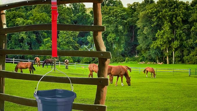 Adjustable Nylon Bucket Strap (3 Pack)- for Hay Nets, Water Buckets, Hanging Strap,Horse Outdoor Feeders,Heavy Duty Horse Water Feed, 30" (Red)