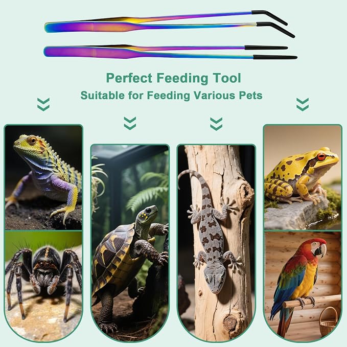 Syn-zer Reptile Feeding Tongs, 10.6" Straight & Curved (Multicolor) | 2 Pcs Stainless Steel, Rubber Tips, Rustproof, Bearded Dragon, Lizard, Aquarium, Terrarium, Gardening, Craft