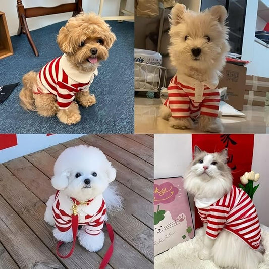 MANON ROSA Dog Clothes, Designer Boy Polo Shirt for Small Medium Dogs, Soft Puppy Outfit, Breathable Male Yorkie Chihuahua Shih Tzu Poodle Kitten Cat T-Shirt, Birthday Gifts - Red, L, Fit 8.8-12lbs