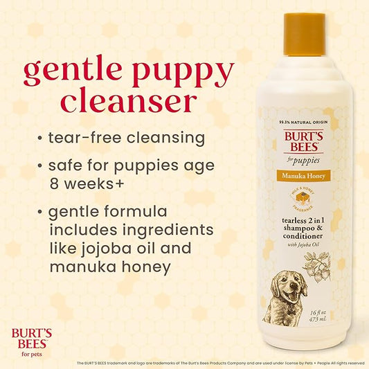 Burt's Bees for Pets Manuka Honey Tearless 2-in-1 Dog Shampoo and Conditioner, with Jojoba Oil, 95% Natural Origin, Free of Sulfates, Milk and Honey Scent, 16 Fl Oz