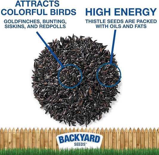 CountryMax Thistle Seed for Finches – Premium Wild Bird Food for Goldfinches, Siskins & Small Songbirds, High-Energy, No-Filler, Cleaned Seed