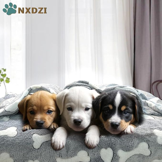 Dog Blankets for Medium Large Dogs, 3 Pack Dog Blanket Washable 30" x 20", Gifts Puppy Essentials, Fuzzy Soft Pet Mat Throw Cover for Kennel Crate Bed, Cat Blanket, Blankets for Dogs, Pet Blanket