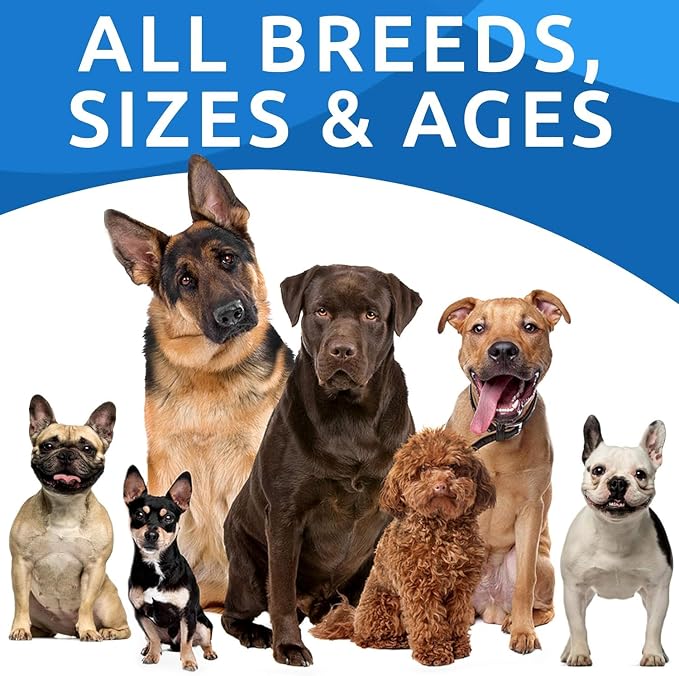 BARK&SPARK Advanced Dog Allergy Relief Soft Chews for Skin Health & Seasonal Allergies - Anti-Itch Supplement w/Omega-3, Quercetin & Bromelain Immune Treats for Dry Skin & Hot Spots - Bacon - 120ct