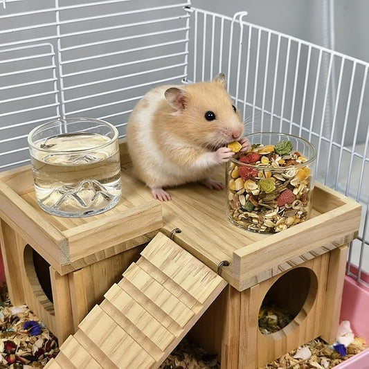 2 Pcs Hamster Feeding & Water Bowls, Glass Syrian Hamster Water Bottle Rat Food Bowl Anti Turning Small Animal Bowls for Gerbils Mice Rats (Clear)