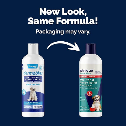 Vetnique Dermabliss Advanced Medicated Pramoxine Anti Itch Dog Shampoo | Itchy Skin Relief & Allergy Relief, Max-Strength Soap-Free Oatmeal Dog Wash, Cat Shampoo & Puppy Shampoo, Sensitive Skin