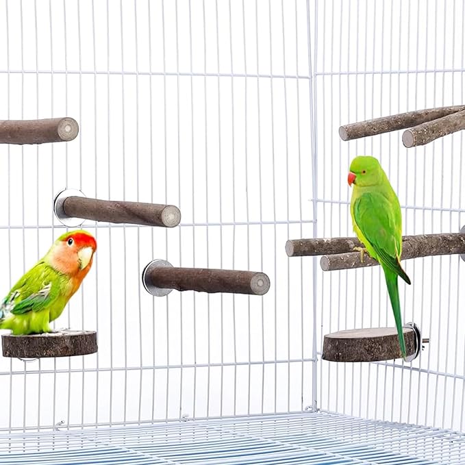 Bird Cage Screws, Bird Perch Screws, Nuts and Make Bird Perches, Stand Platform Accessories for Fixing Pet Cage, Playground Perch, Food Feeder (20, 5cm(1.9inch))