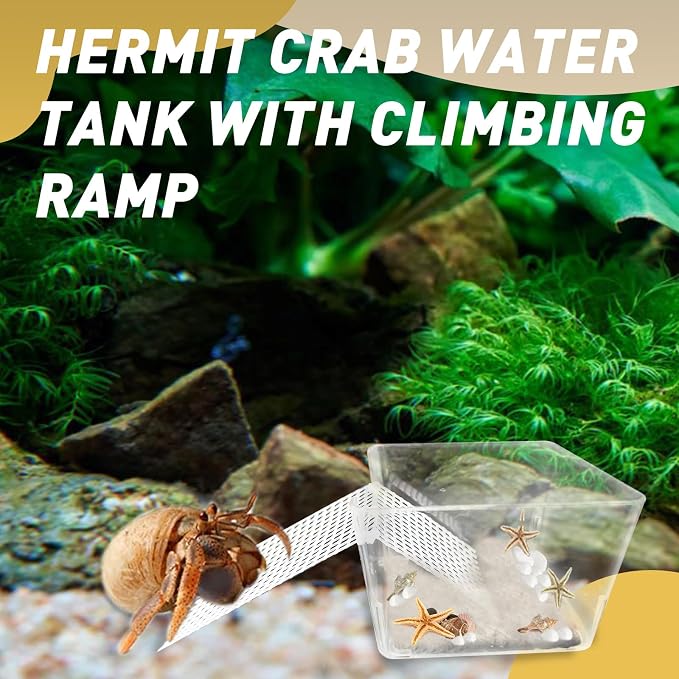 4 Packs Hermit Crab Water Tank - Ideal Hermit Crab Pool Combination - Water Tank with Cuttable Climbing Ramp