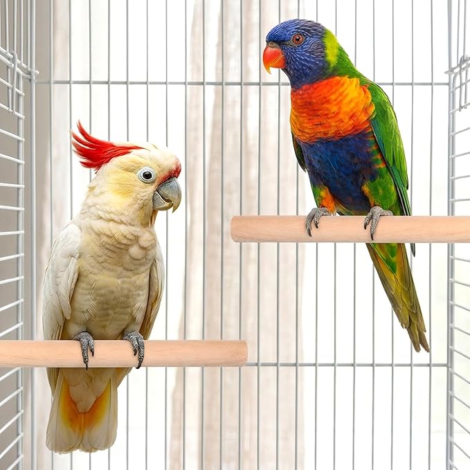 4Psc Bird Perches for Cage, Wooden Parrot Perches Stand with 4Pcs Nuts 8Pcs Washers, Different Length Natural Perch Bird Cage Accessories for Macaws Parakeets Conures Budgies Finches