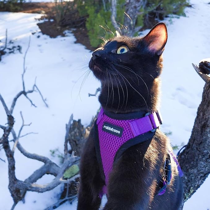 rabbitgoo Cat Harness and Leash for Walking, Escape Proof Soft Adjustable Vest Harnesses for Cats, Easy Control Breathable Reflective Strips Jacket, Purple, XXS