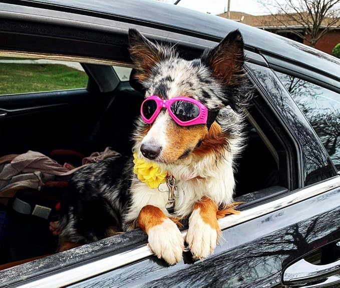 Dog Goggles Medium Breed, Small Dog Sunglasses Pet Eye Protection Windproof Anti-UV for Small to Medium Dogs, Pink