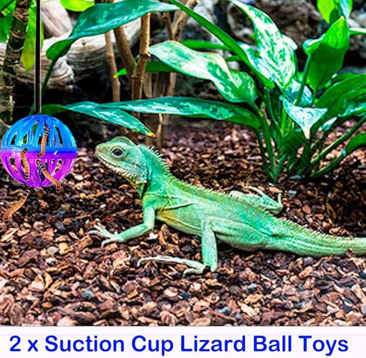 7 pcs Reptile Bathtub Set with Bath Brushes and Towel Foldable Lizard Bath Tub for Bearded Dragon Accessories Gecko Breaded Dragon Pool Water Washer Hedgehog Hamster Small Animals Bonus Swim Pool