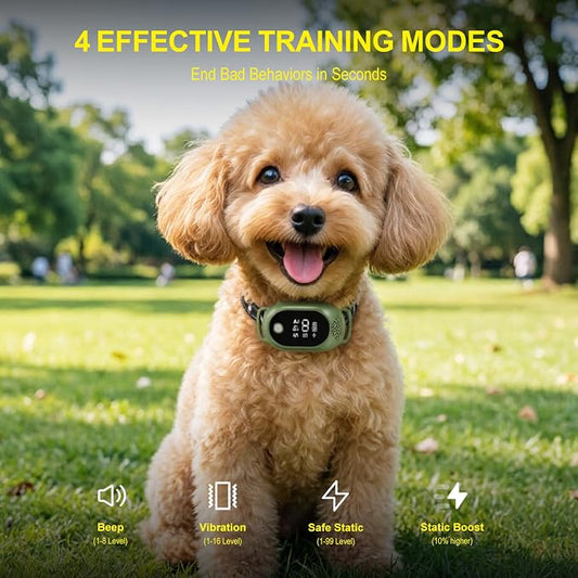Shock Collar for Dogs & Dog Bark Collar - with 2600FT Range, 100 Levels Sensitivity, IP67 Waterproof for Small, Medium, Large Dogs (Green)