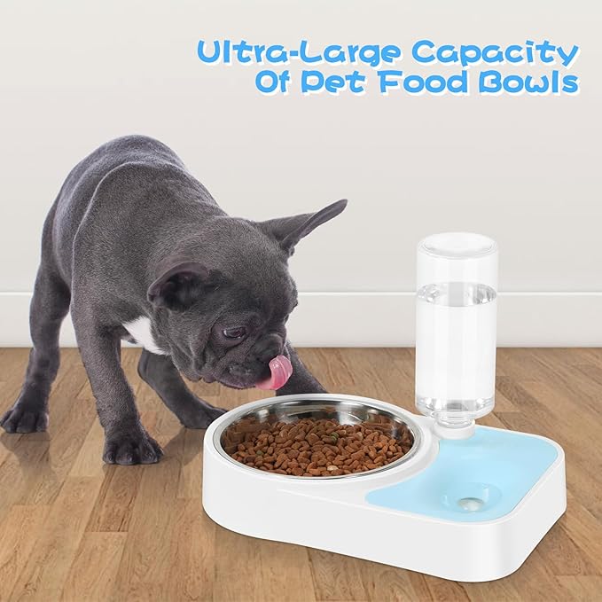 JUST RUN Double Dog Cat Bowls, Dog Cat Food and Water Bowl Set with Automatic Water Dispenser Bottle, Super Big Detachable Stainless Steel Food Bowl for Small Dogs Puppy and Cats Kitten Rabbit(Blue)
