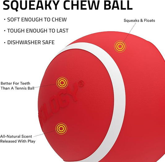 Playology Dog Toys | Squeaky Chew Ball for Large Dogs | Beef Scented Jumbo Dog Ball | Bouncy Floating Chew Toys for Fetch