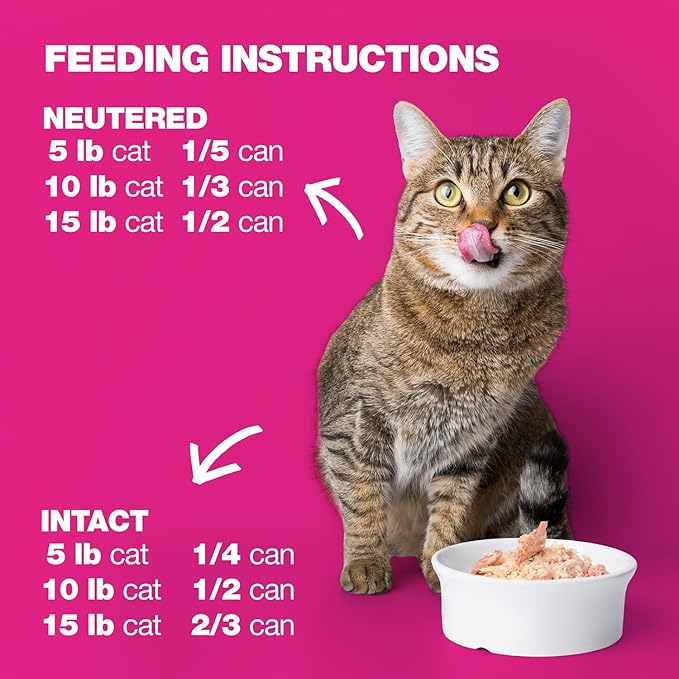 Natural Code - 24 Pack Wet Cat Food, Limited Ingredient Cat Food, High-Protein, Non-GMO, No Artificial Additives, Made in Italy, Chicken & Sardines in Aspic for Adult Cats, 3 oz