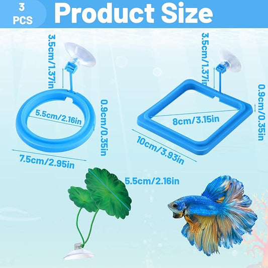 2Pcs Fish Feeding Ring, 2 Feeding Ring for Tank with 1pcs Betta Fish Live Plant, Betta Feeder for Aquarium Decor, Goldfish Tank Accessories