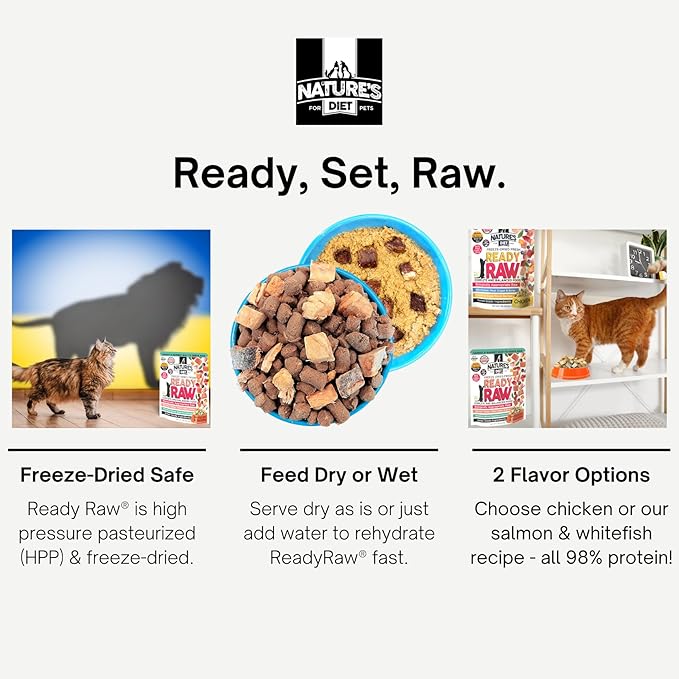 Nature's Diet Ready Raw : Freeze-Dried Raw Cat Food, Salmon & Whitefish, Human Grade, High Pressure Pasteurized (HPP), 96% Meat, Organ, Bone, Safe & Natural, Dry or Wet Feeding