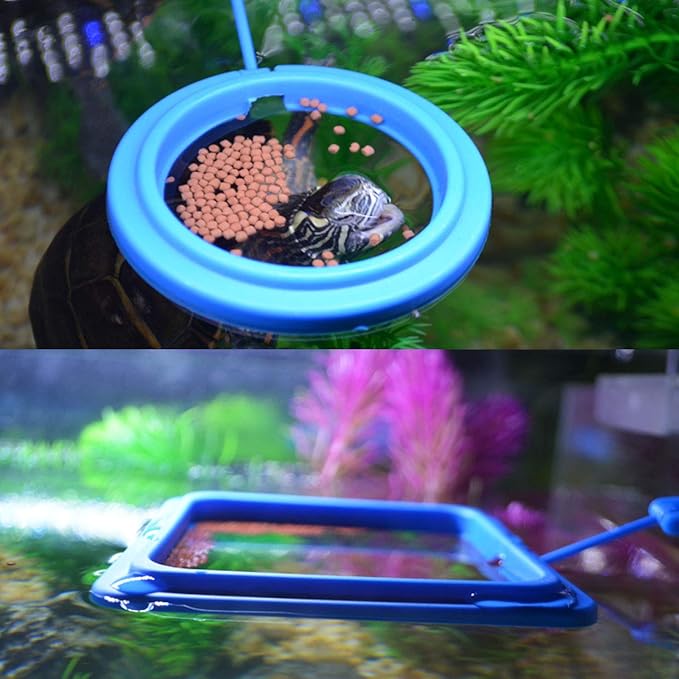 2PCS Fish Feeding Ring Round and Square Floating Food Feeder Circle with Suction Cup for Aquarium Fish Tank