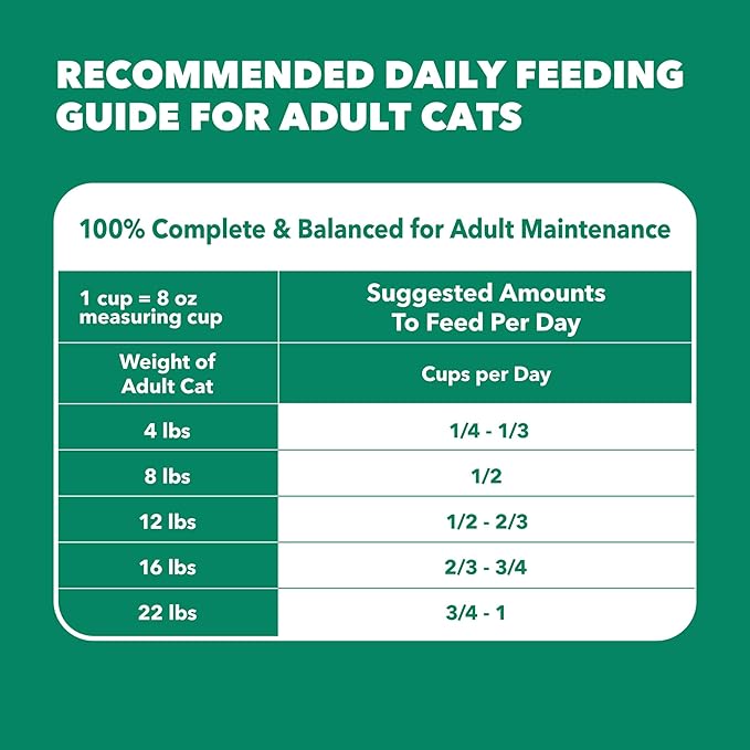 IAMS Proactive Health Senior Dry Cat Food, Cat Food Dry Chicken Recipe, Real Chicken in Every Bite, 7 lb. Bag