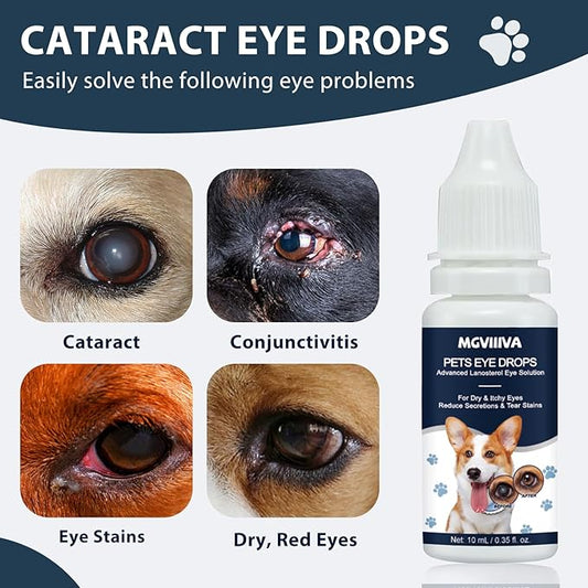 Cataract Drops for Dogs, Dog Eye Drops for Relieving Itching & Irritation, Vet Recommend Eye Drops for Dogs Eye Infection Treatment, Long-Lasting Relief for Dryness Pink Eyes Vision Clarity (2 X10ml)